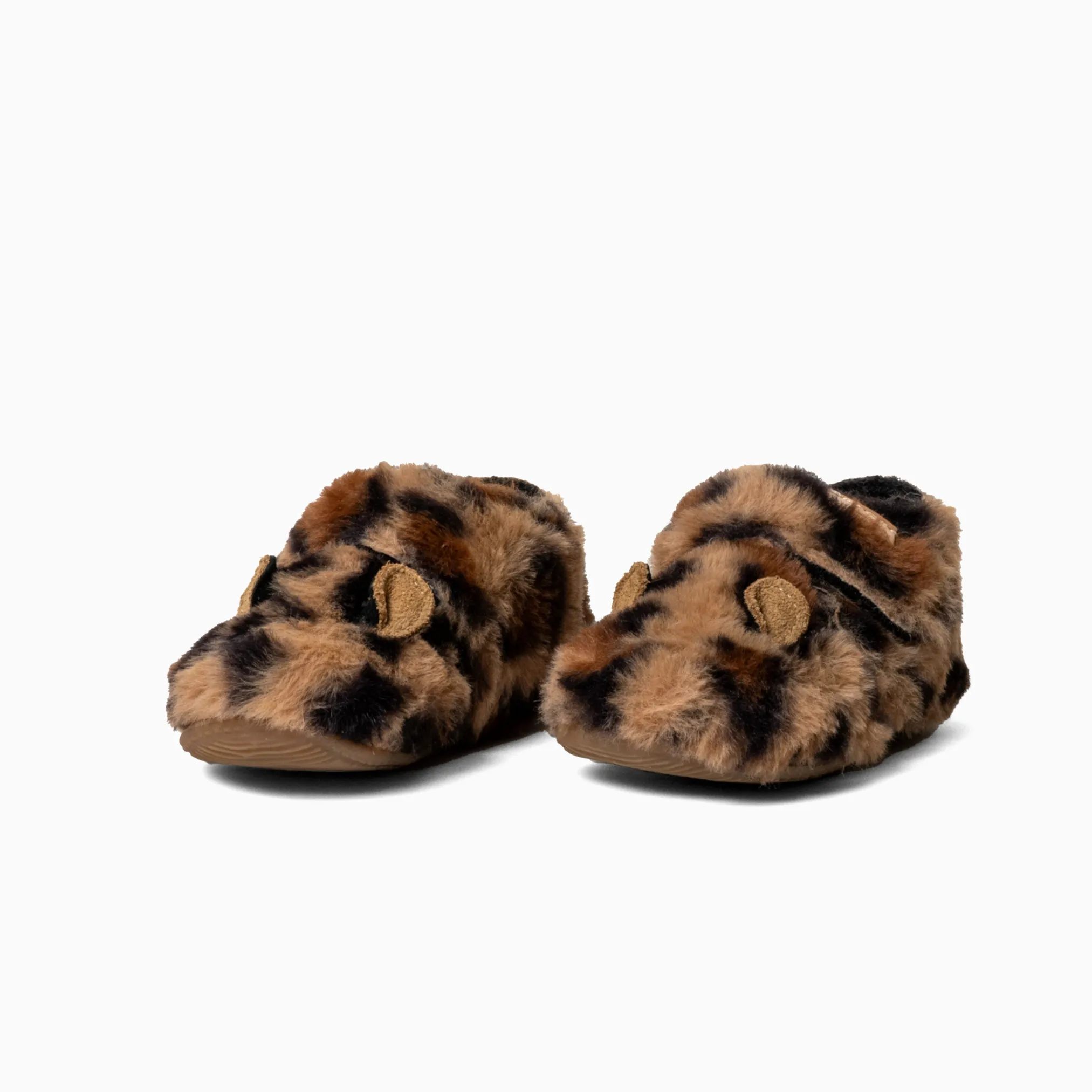 Lotte Leopard