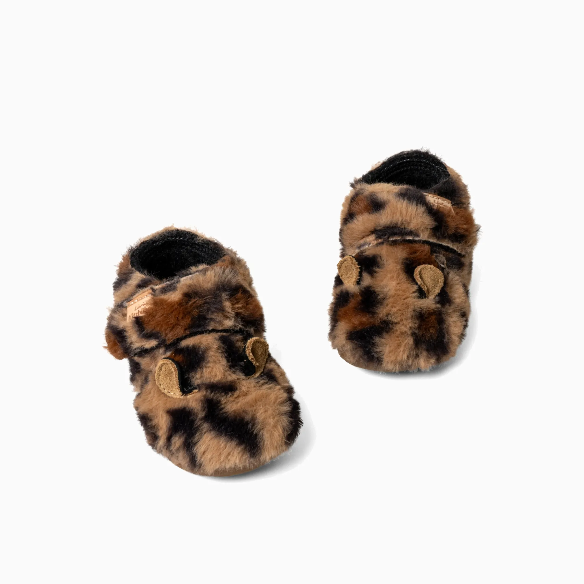 Lotte Leopard