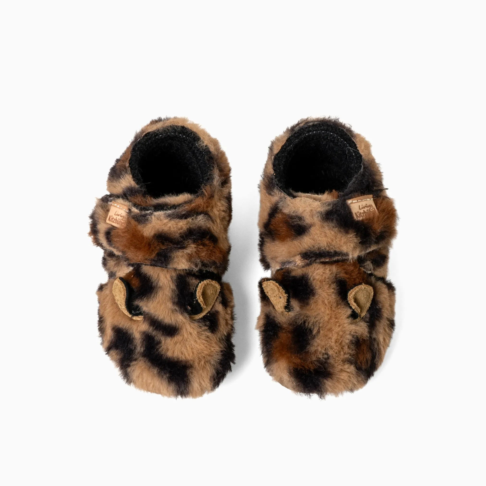Lotte Leopard