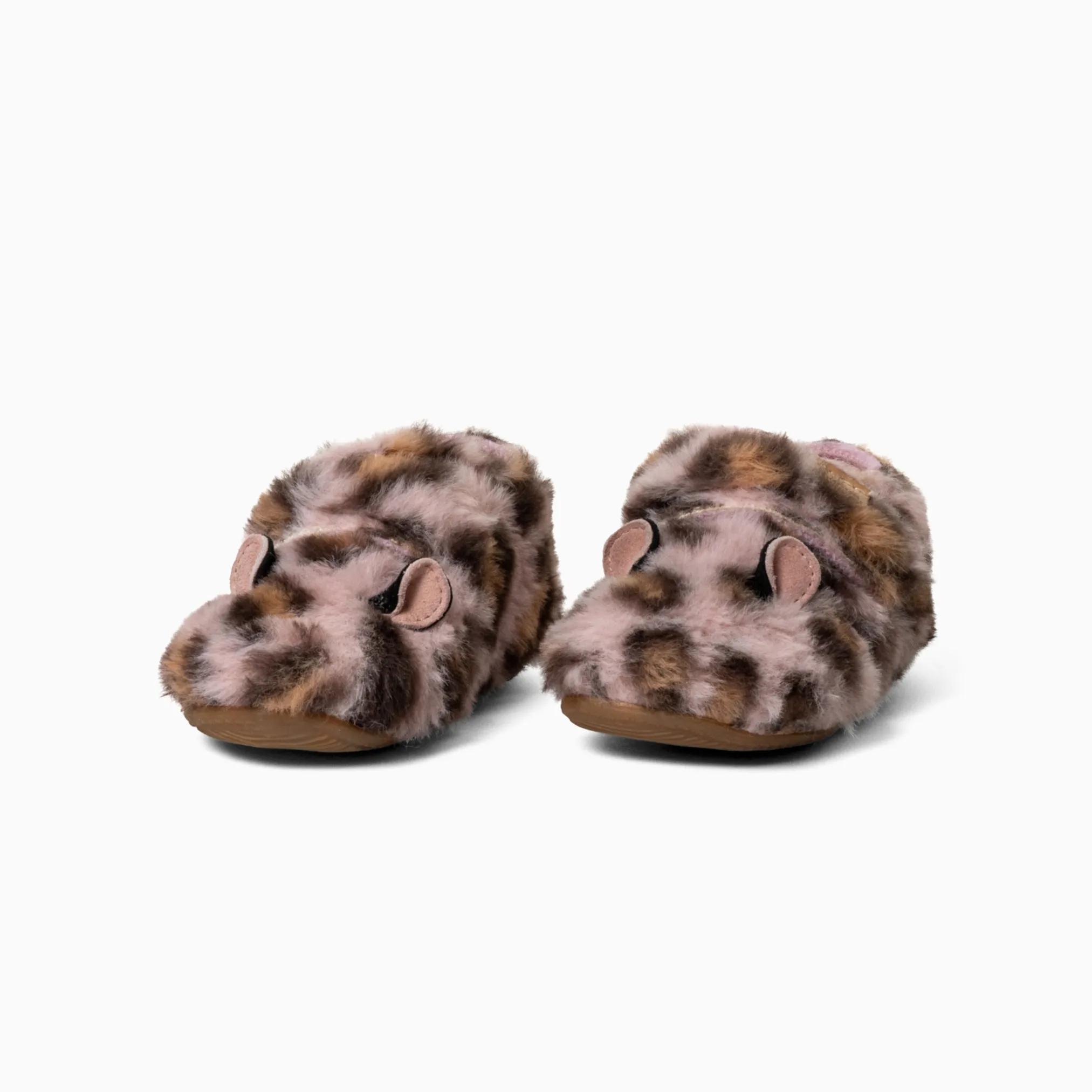 Lotte Leopard