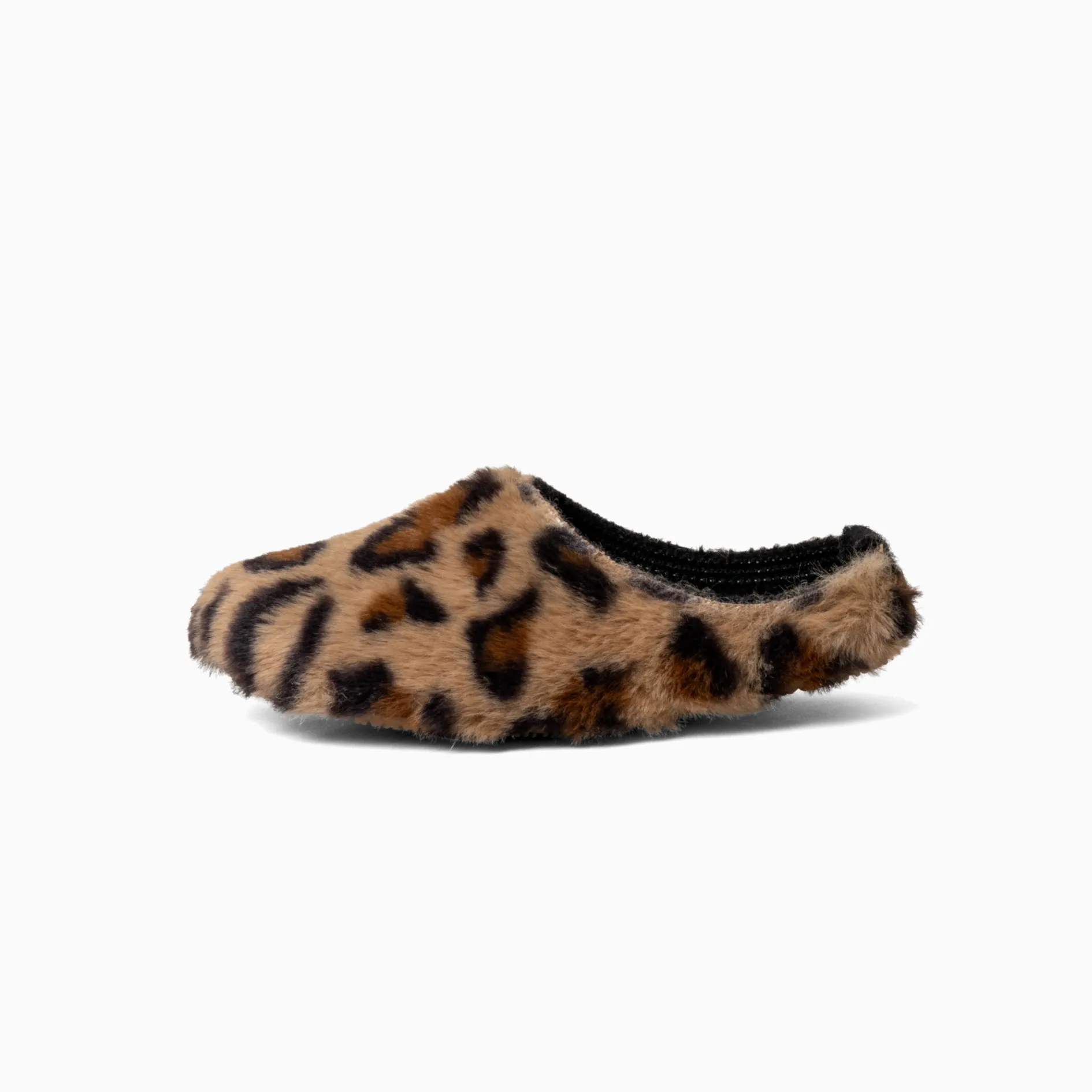 Leona Leopard