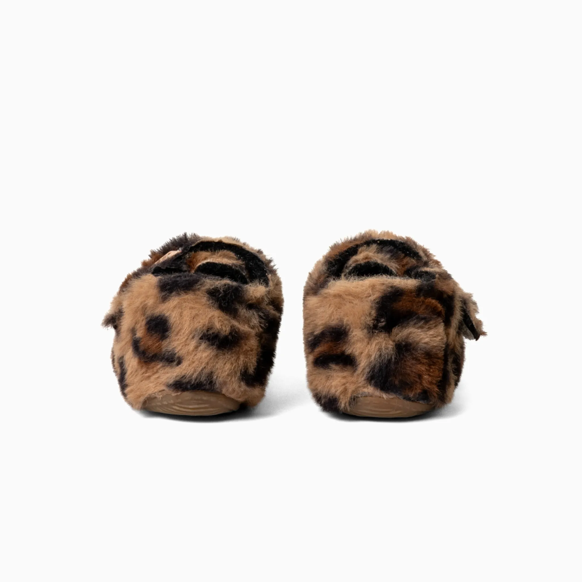 Lotte Leopard